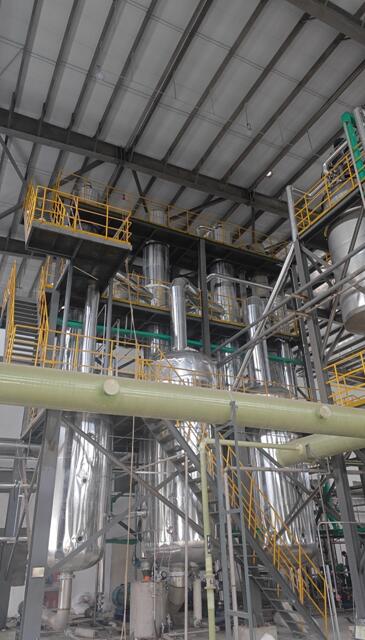 中药降膜强制循环蒸发器